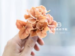 -美斯烘焙培训学院•蛋糕•面包•咖啡(宝安校区)