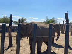 -新疆天山野生动物园