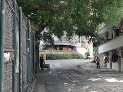 -三溪村