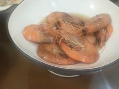 -椿不老