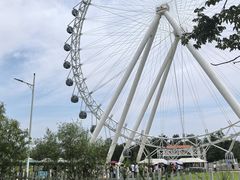 -日照海滨国家森林公园
