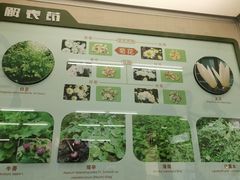-北京中医药大学-中医药博物馆