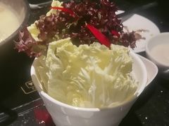 -捞王猪肚鸡火锅(财富中心店)