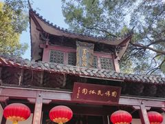 -杭州黄龙洞