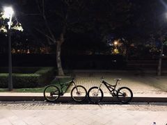-道路口单车爱瓦士dahon大行