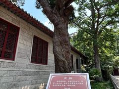 -青岛崂山太清宫