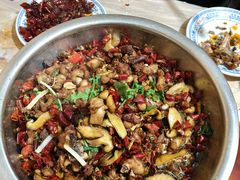 -食神又名厕所兔