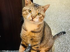 -马房湾66号·江湖菜