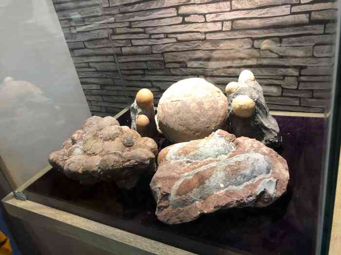 上海地质科普馆-"959595这个博物馆太有趣了,虽然地质.