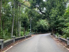 -青龙山国家森林公园