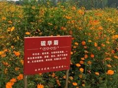 -北京东方普罗旺斯薰衣草庄园