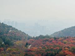 -府君山公园