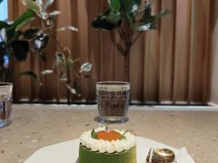 茶茶茶花绘-Bco豆库(星耀天地店)