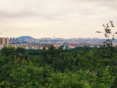 -府君山公园