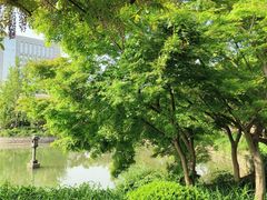 -嘉定紫藤园