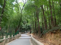 -灵岩山风景区