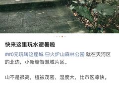 -火炉山森林公园