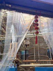 -PIPIKINGDOM皮皮王国欢乐号(欢乐海岸购物中心店)