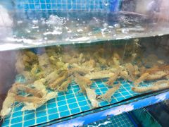 -坛南湾阿强农家乐.海鲜大排档老字号(福州地标美食店)