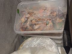 -原鄉本味 楚菜 丹江口鱼(北苑店)