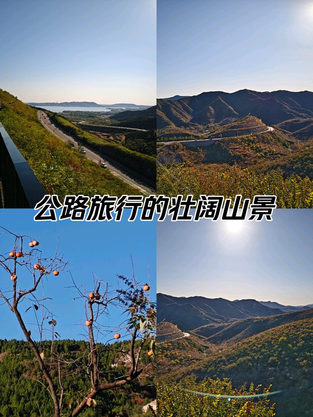 津围北二线秋季自驾溜腿好去处