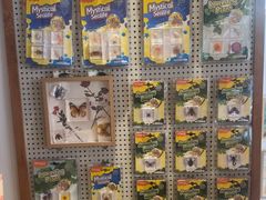 -猫的天空之城概念书店(丽江古城饮玉巷店)