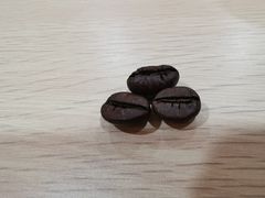 -巴厘岛黄金金兔咖啡工厂