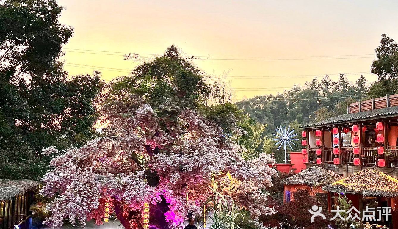 真的不是云南！真的在长沙！！好美啊…