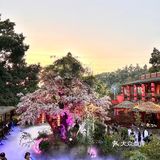 真的不是云南！真的在长沙！！好美啊…