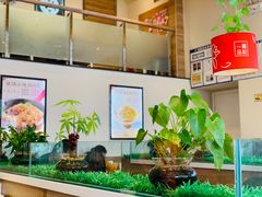 -嘉和一品粥(津华昌道店)