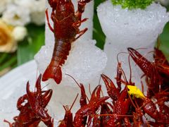 话梅醉龙虾-外滩1288花园丽舍