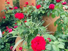 -人民公园(罗湖区)