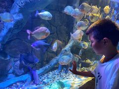 -多彩贵州城极地海洋世界