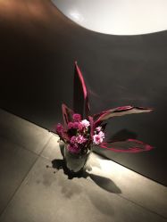 -美壹生诊所皮肤管理中心·海菲秀&Legacy美白舱