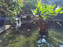 -鹅公村·国家非遗传承(荔湾店)