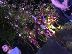 -南山植物园