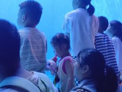 -多彩贵州城极地海洋世界