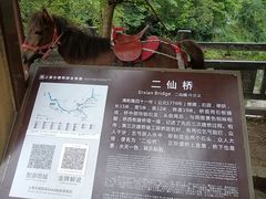 -雅安上里古镇