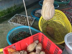 -鸿港海鲜批发市场