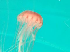 -多彩贵州城极地海洋世界