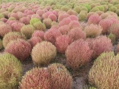 -映月湖中央公园