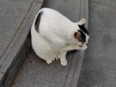 -颐和路民国时期公馆风貌区