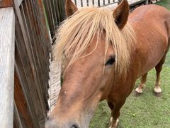 -北京鹿世界主题园