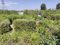 -亲兄弟真人CS团建拓展基地