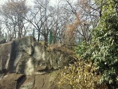 -昆明动物园