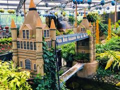 -南宫五洲植物乐园