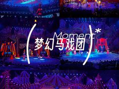 -珠海横琴长隆《卡卡虎奇遇记》