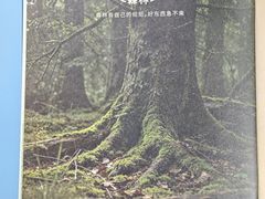 -Olé精品超市(广州太古汇店)
