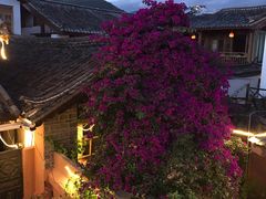 -胖子菜馆(花园餐厅店)