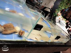 -甄品麦哲伦海鲜和牛自助(万达广场店)
